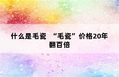 什么是毛瓷  “毛瓷”价格20年翻百倍